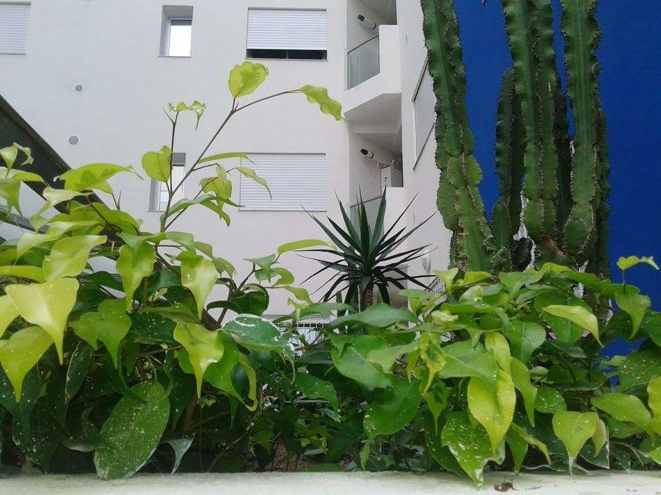Le Lagon De Hammamet Room photo