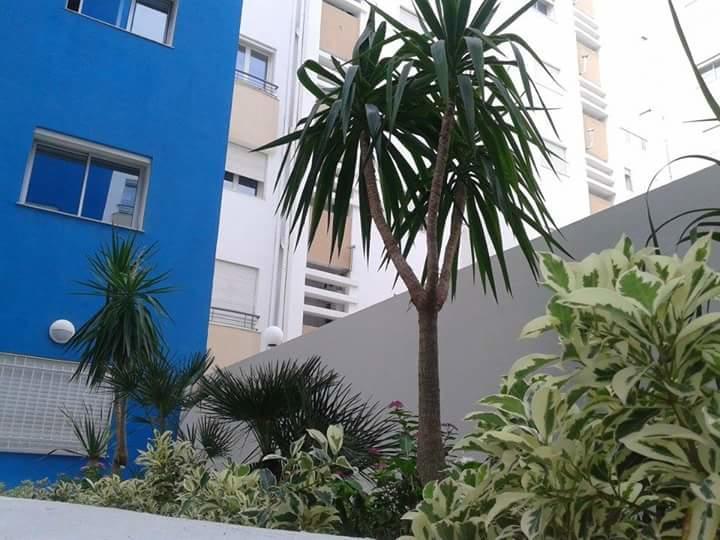 Le Lagon De Hammamet Room photo